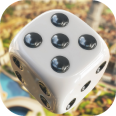 100 Point Dice